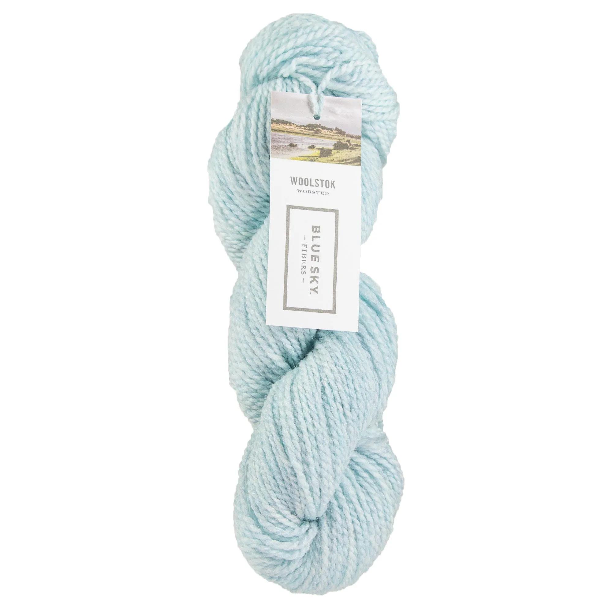 Blue Sky Fibers Woolstok Yarn - 1318 Thermal Spring